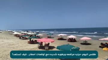 طقس اليوم: حرارة مرتفعة ورطوبة شديدة مع توقعات أمطار.. كيف تستعد؟